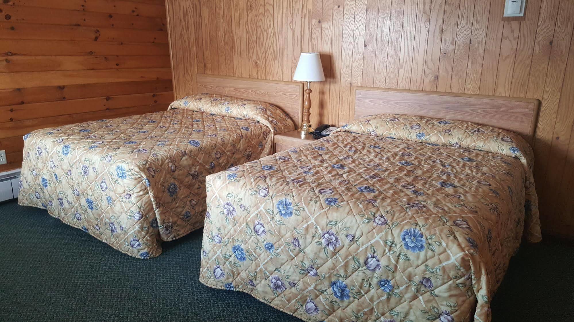 Clark'S Beach Motel Old Forge Dış mekan fotoğraf